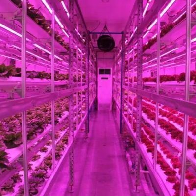 垂直農業用コンテナ温室