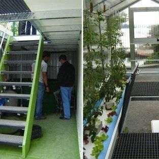 高湿度垂直農業 水育容器 野菜のための温室