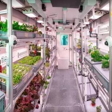 水栽培システムと垂直農業の利点のための多スパンコンテナ温室