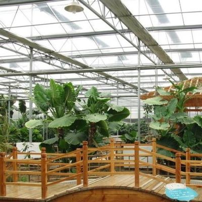 庭野菜と花 水栽培システム付きのガラス温室