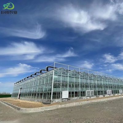 庭野菜と花 水栽培システム付きのガラス温室
