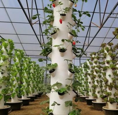垂直農業コンテナ 40HQの温室 水培容器付きリーファー