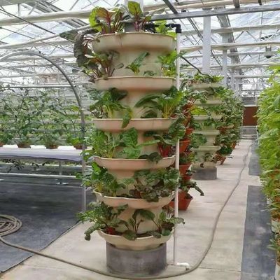 垂直農業コンテナ 40HQの温室 水培容器付きリーファー