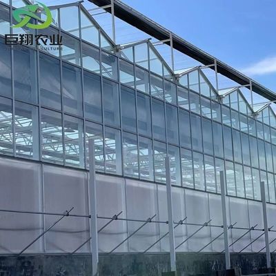 野菜と黄瓜の展示ホールのための連続暖房アーチド屋根温室