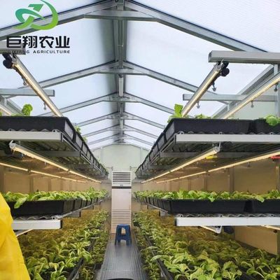 水育植木 野菜/トマト 200 マイクロンフィルムカバーのためのマルチスペン温室