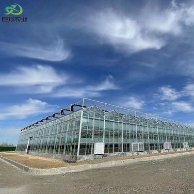パーソナライゼーション ジュシアン温室のパーソナライズ可能な商業用フィルムとガラス温室