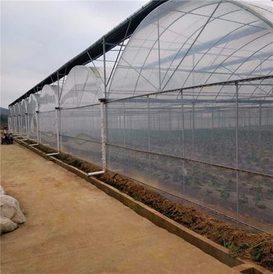 マルチスパン水栽培システム 農場用フィルム温室パッケージ 総重量2000.000kg