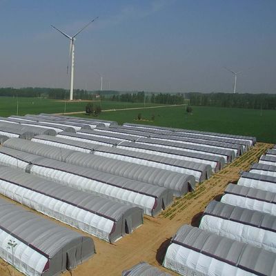 マルチスパン水栽培システム 農場用フィルム温室パッケージ 総重量2000.000kg