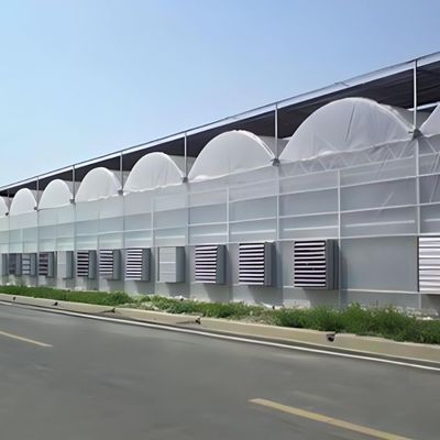 マルチスパン水栽培システム 農場用フィルム温室パッケージ 総重量2000.000kg