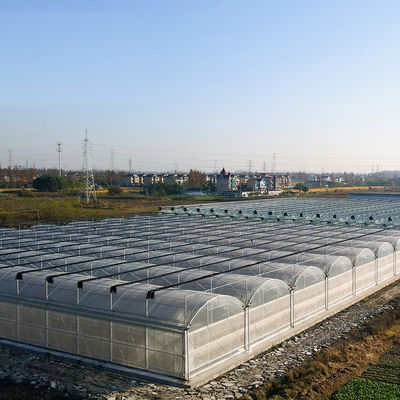 持続可能な農業のための鋼鉄構造多スパン水栽培温室システム