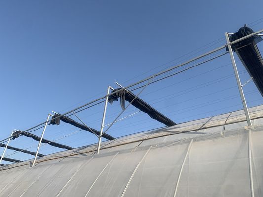 持続可能な農業のための鋼鉄構造多スパン水栽培温室システム