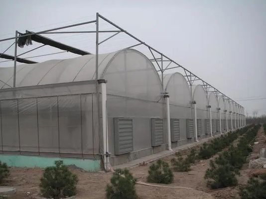 持続可能な農業のための鋼鉄構造多スパン水栽培温室システム
