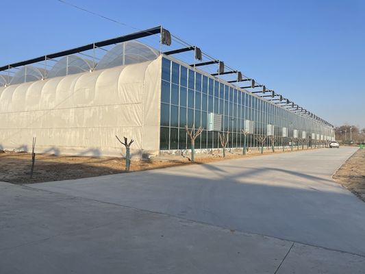 野菜や花を栽培する米国単調温室システム 30日 返金