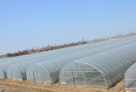 野菜や花を栽培する米国単調温室システム 30日 返金