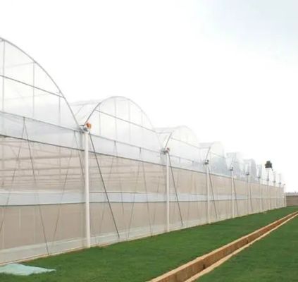 生産と商業実験のための多スパン水栽培温室システム