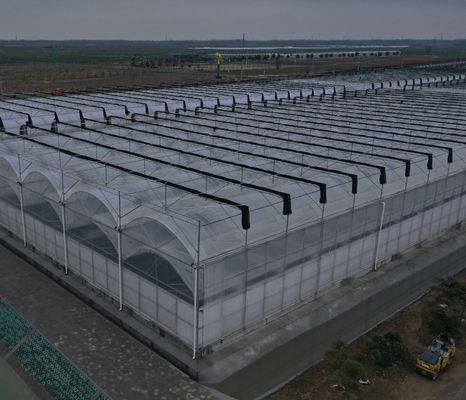 生産と商業実験のための多スパン水栽培温室システム