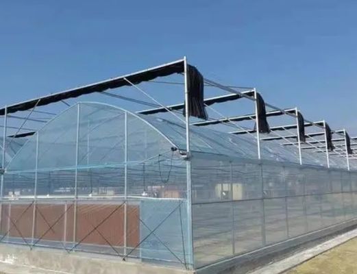 生産と商業実験のための多スパン水栽培温室システム