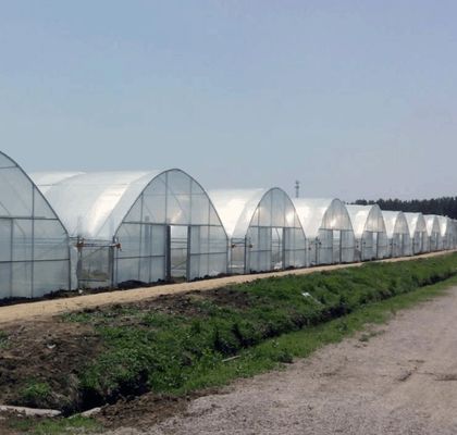 生産と商業実験のための多スパン水栽培温室システム