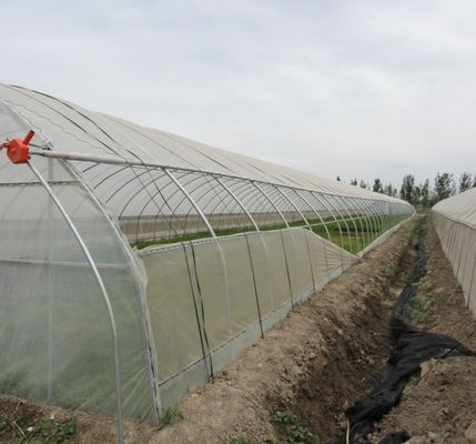 花の防水霧膜温室 暫定的な加熱方法も含まれています
