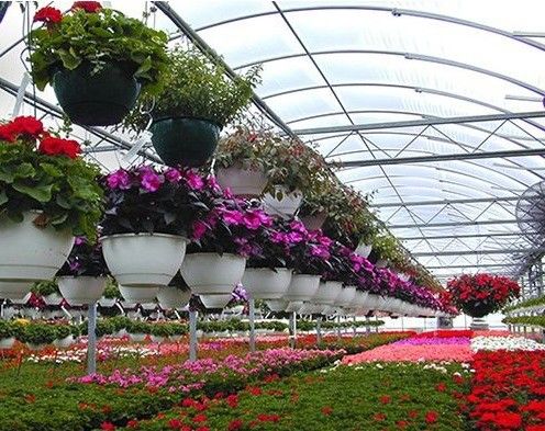 花の防水霧膜温室 暫定的な加熱方法も含まれています