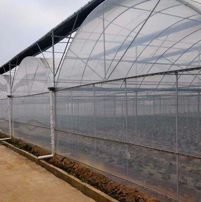 花の防水霧膜温室 暫定的な加熱方法も含まれています