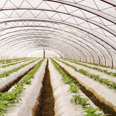 野菜 や 花 の ため に 調整 できる 水栽培 システム