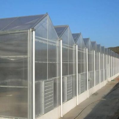 野菜 や 花 の ため に 調整 できる 水栽培 システム