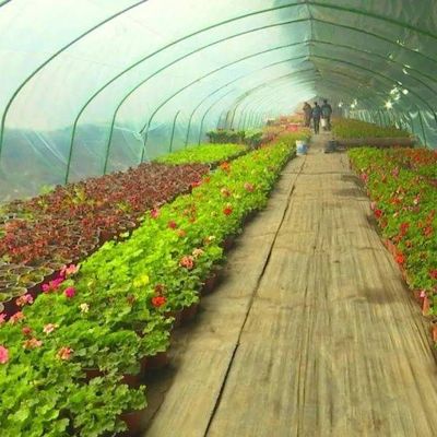 野菜 や 花 の ため に 調整 できる 水栽培 システム
