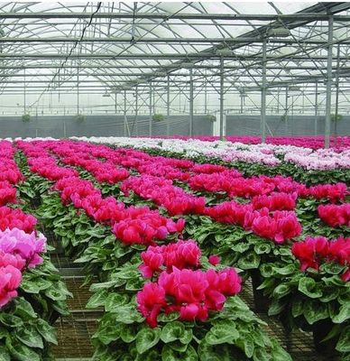 野菜 や 花 の ため に 調整 できる 水栽培 システム
