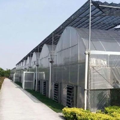 野菜 や 花 の ため に 調整 できる 水栽培 システム