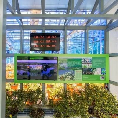 JuxiangシートPCボード 水素栽培システムのためのグリーンハウス ストロベリー オーダーメイド
