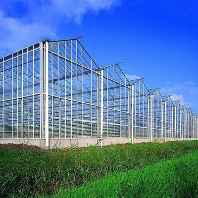 水力栽培の野菜 温室 二重層と屋根のガラス温室