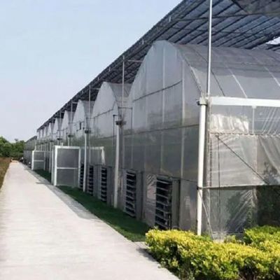 多スパン ジュキョン 水育システム 湿度温室 花のための温室 返金