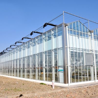 熱水加熱 多スパン種植ガラス温室 水栽培 ストロマル制御