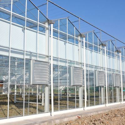 熱水加熱 多スパン種植ガラス温室 水栽培 ストロマル制御