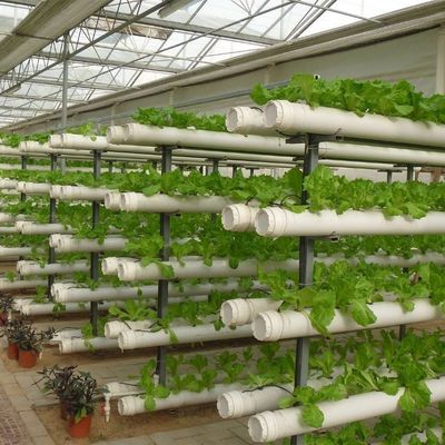 ベンロ様式屋根 多スパン制御湿度温室