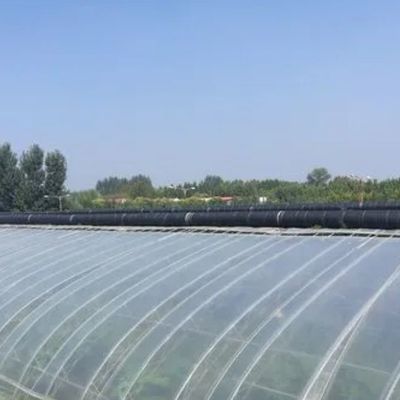 1209.00cm * 235.00cm * 239.00cm 野菜栽培のためのカスタマイズ可能なフィルム温室
