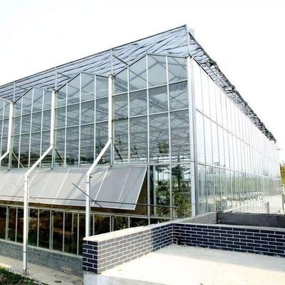 原産地 水栽培方法による野菜と花のガラス温室