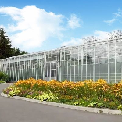 原産地 水栽培方法による野菜と花のガラス温室