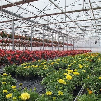 2000.000kg パッケージ 総重量 野菜栽培用 防水霧膜温室