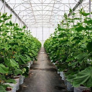 2000.000kg パッケージ 総重量 野菜栽培用 防水霧膜温室
