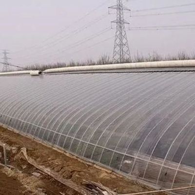 1209cm * 235cm * 239cm パッケージサイズ トマトと黄瓜農園の温室 完全支払
