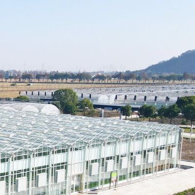 多機能ガラス温室 オーダーメイド水培植物栽培ソリューション