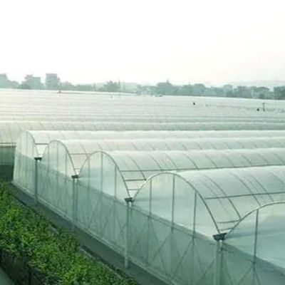 オーダーメイドオプション ジュキョン 水育システム 野菜栽培フィルム温室