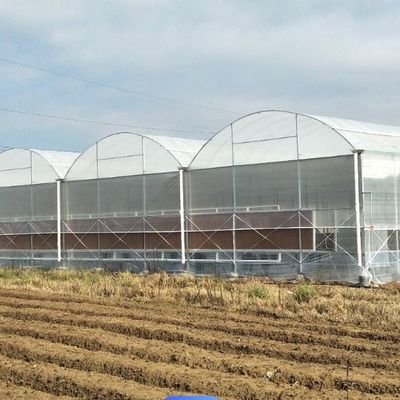 花を育てるための単弧温室 花の生産を増やす
