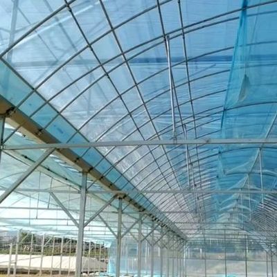 花を育てるための単弧温室 花の生産を増やす