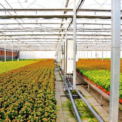 ベンロ 野菜用ガラス温室 屋根 形 型 屋根 30 日 返金