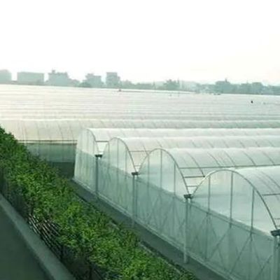 土のない栽培のための二層フィルム温室 トマト 黄瓜 花栽培