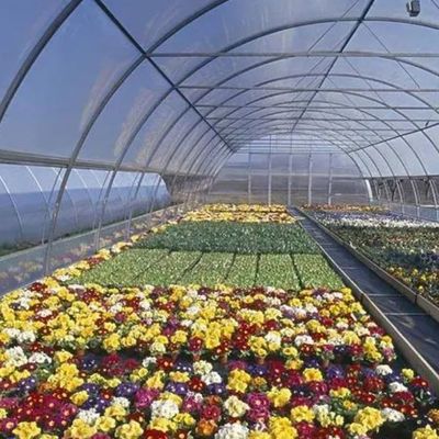 土のない栽培のための二層フィルム温室 トマト 黄瓜 花栽培