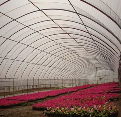 双アーチペッパーとフラワー水育温室 多スパン屋根形